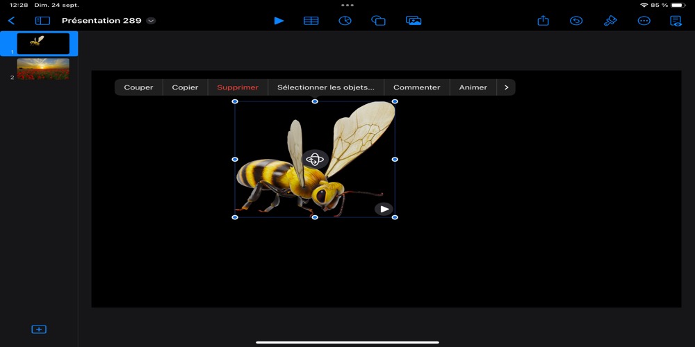 Dans cette photo on voit une abeille en format 3D (fichiers USDZ) sur une diapositive Keynote.