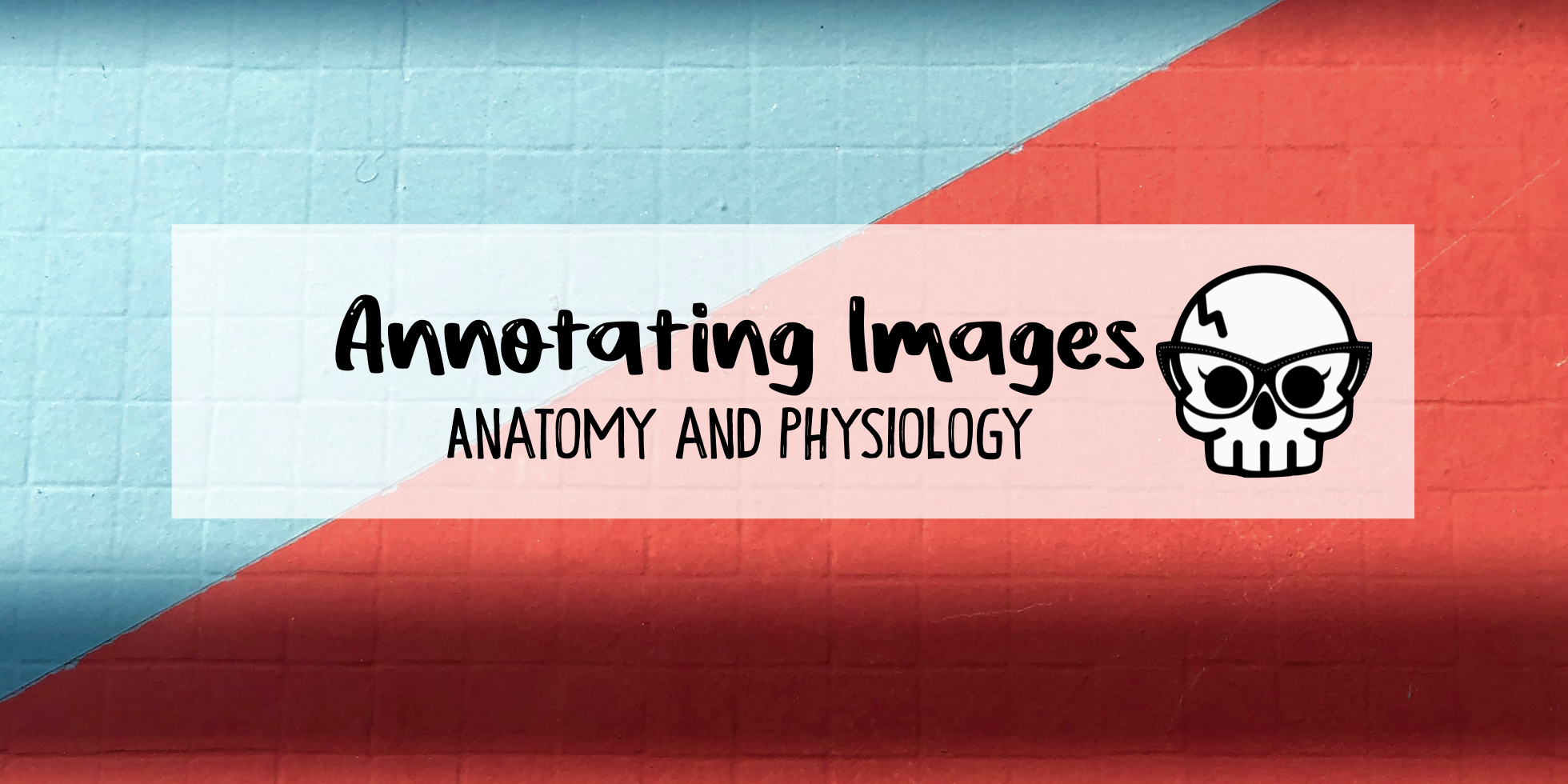 Title Image - Annotated Images, Anatomy and Physiology