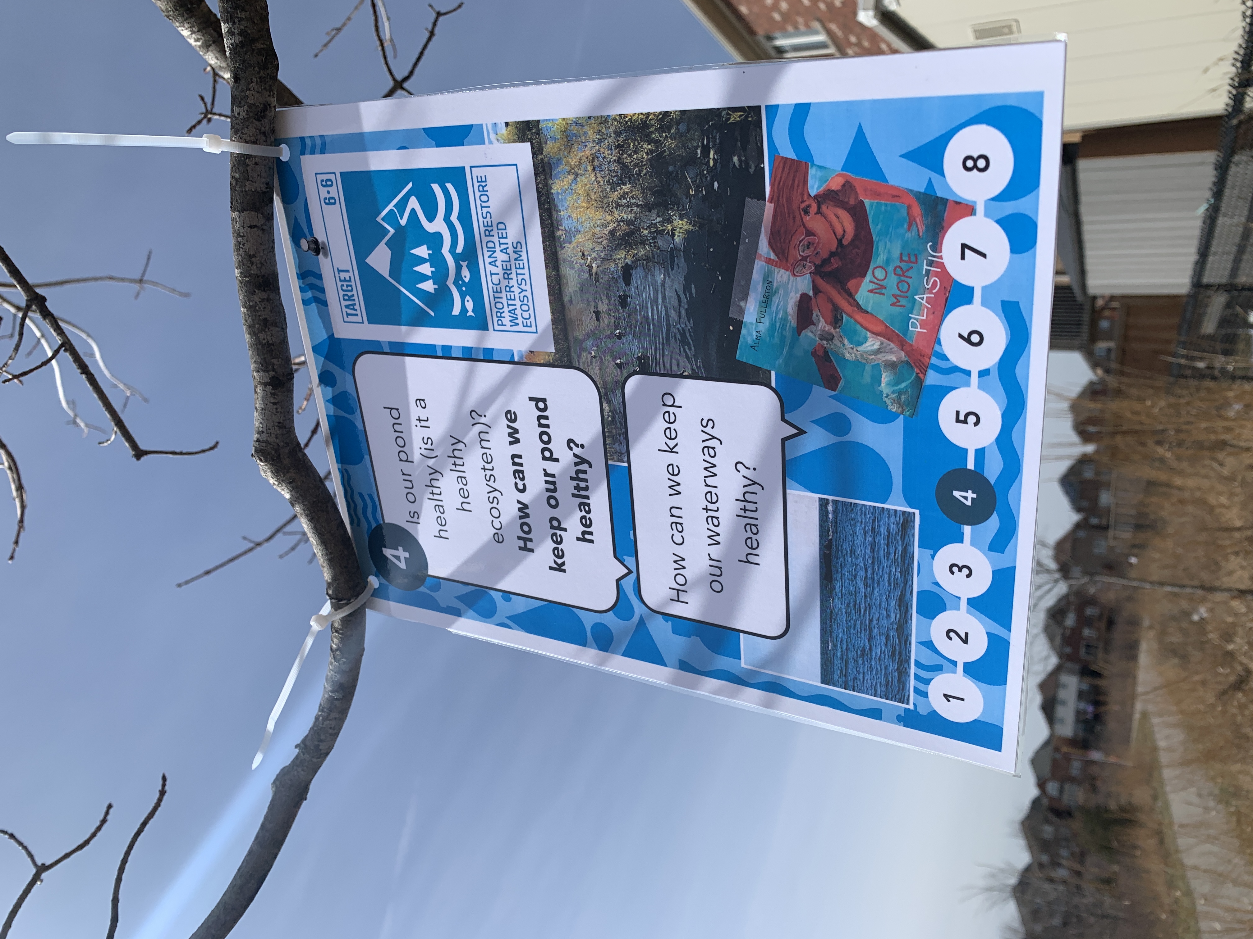 Blue poster hanging from tree on nature pathway including images and a reflective question. 