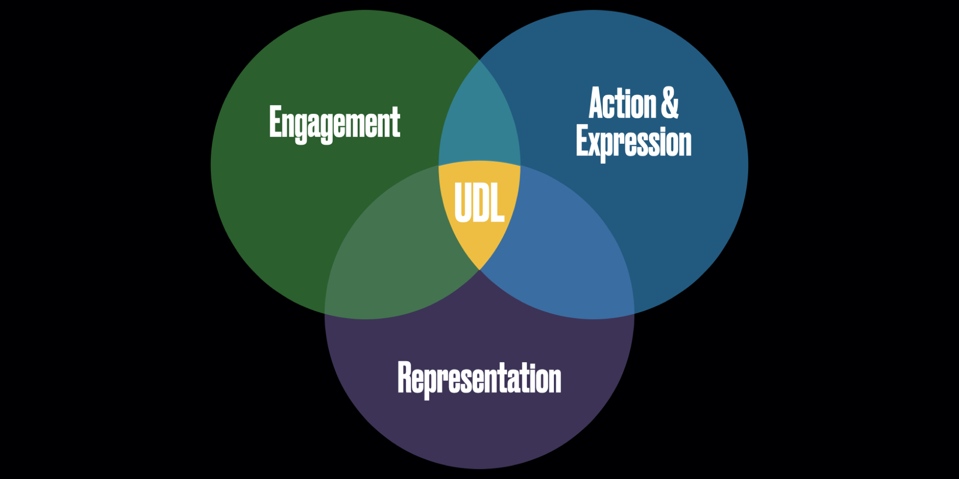 Venn diagram with the three components of Universal Design for Learning