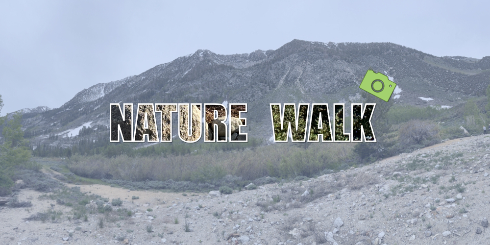 Picture of a mountain range with the word nature walk in the foreground. Nature walk has images within the letters.