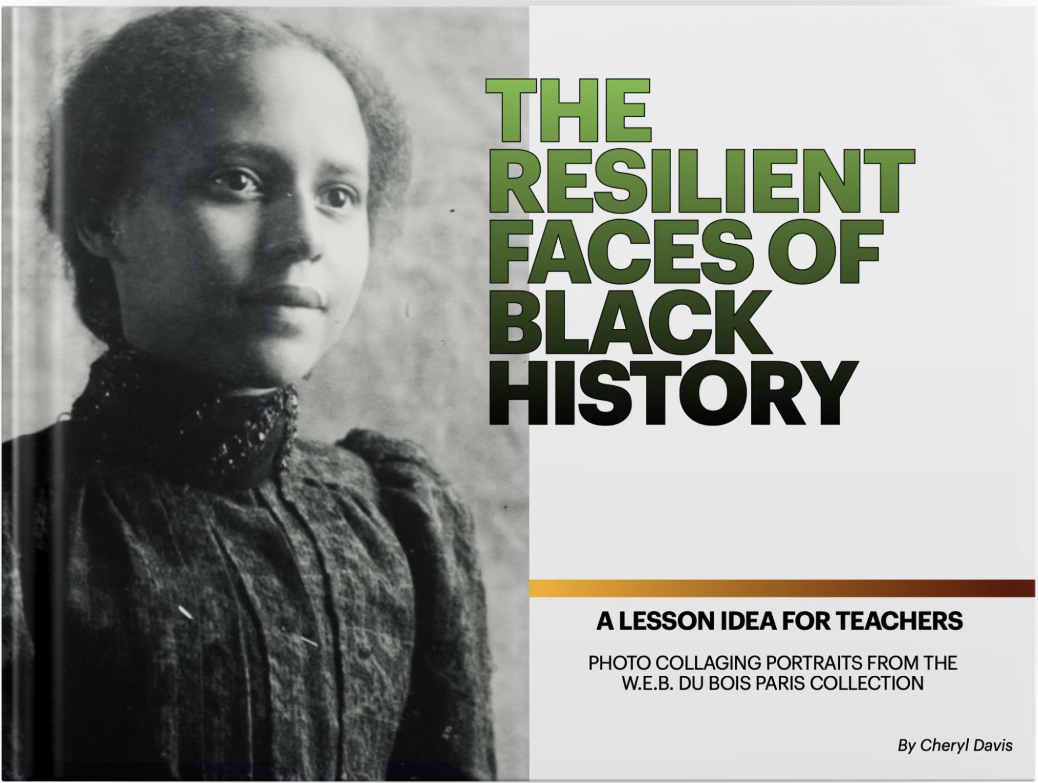 Book Cover - The Resilient Faces of Black History